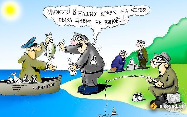 анекдот про рыбу жарьте. смешные шутки про рыб. шутки про рыбаков. рыба карикатура. смешные рыбы.