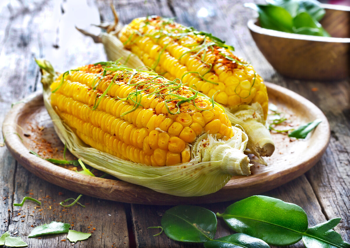 Вареная кукуруза. Кукуруза в початках вареная. Кукурузный початок. Вкусная кукуруза вареная. Corn кукуруза