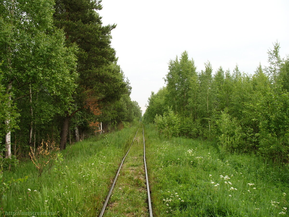 Тесово новгородская область. Тёсово-Нетыльский музей УЖД. Тёсово-Нетыльский Торфопредприятие. Торфопредприятие тёсово 4. Тесово Нетыльский торфоразработки.