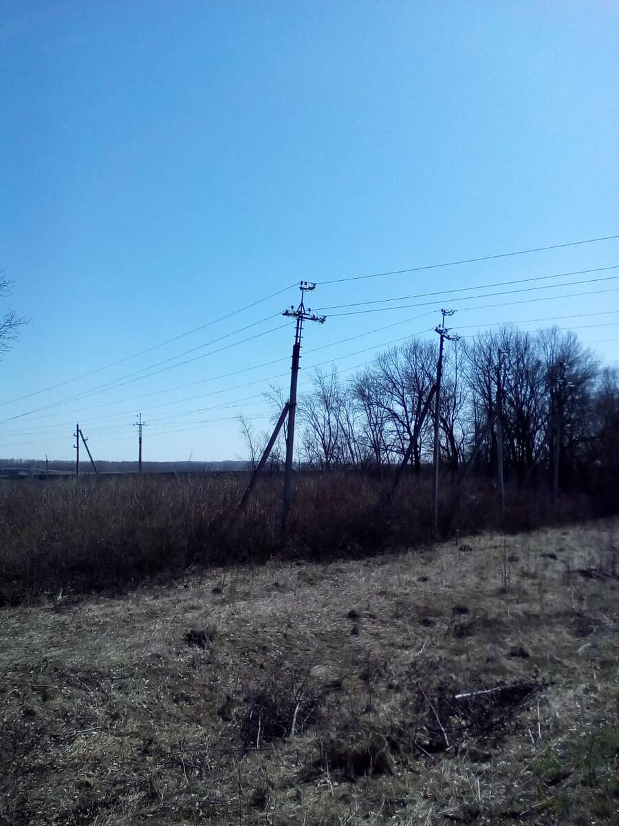 В этих посадках и была найдена заначка