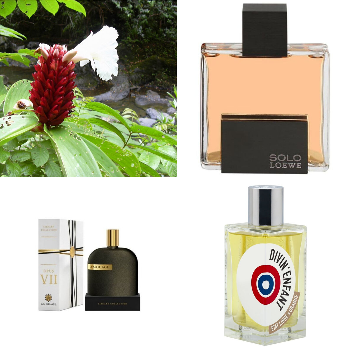 Ингредиенты в косметике и парфюмах: открой для себя необычные компоненты