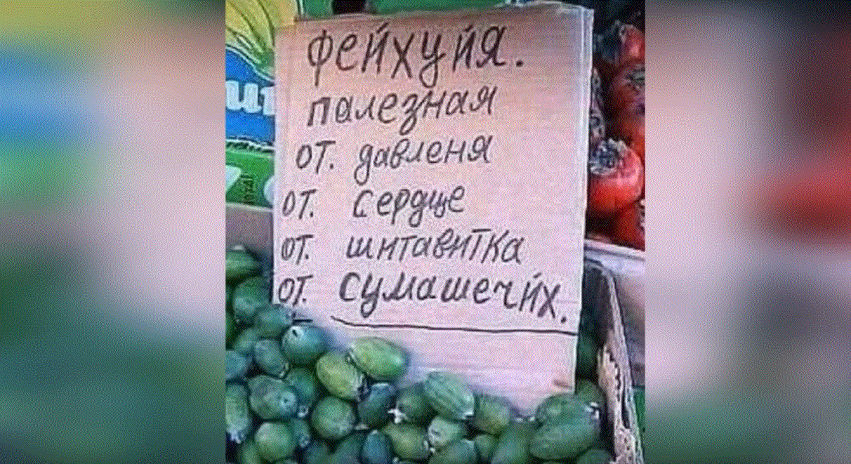 Как сделать смешное видео за 6 проверенных шагов