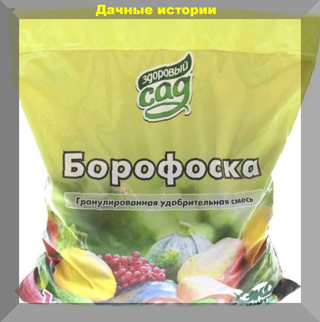 https://vk.com/photo-159774511_456241948