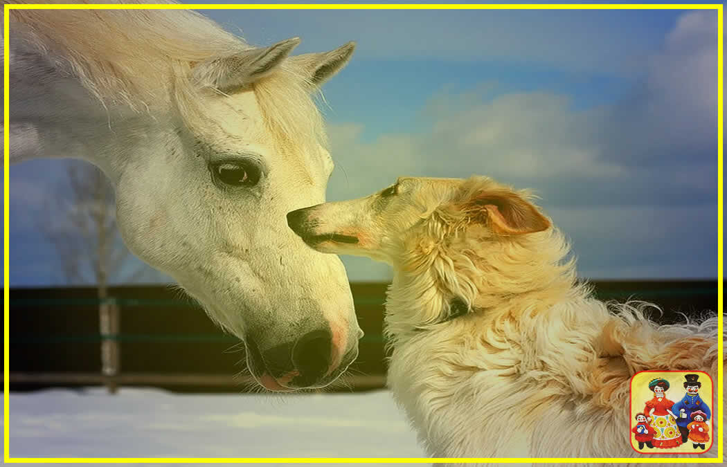 Коллаж. Лошадь и собака