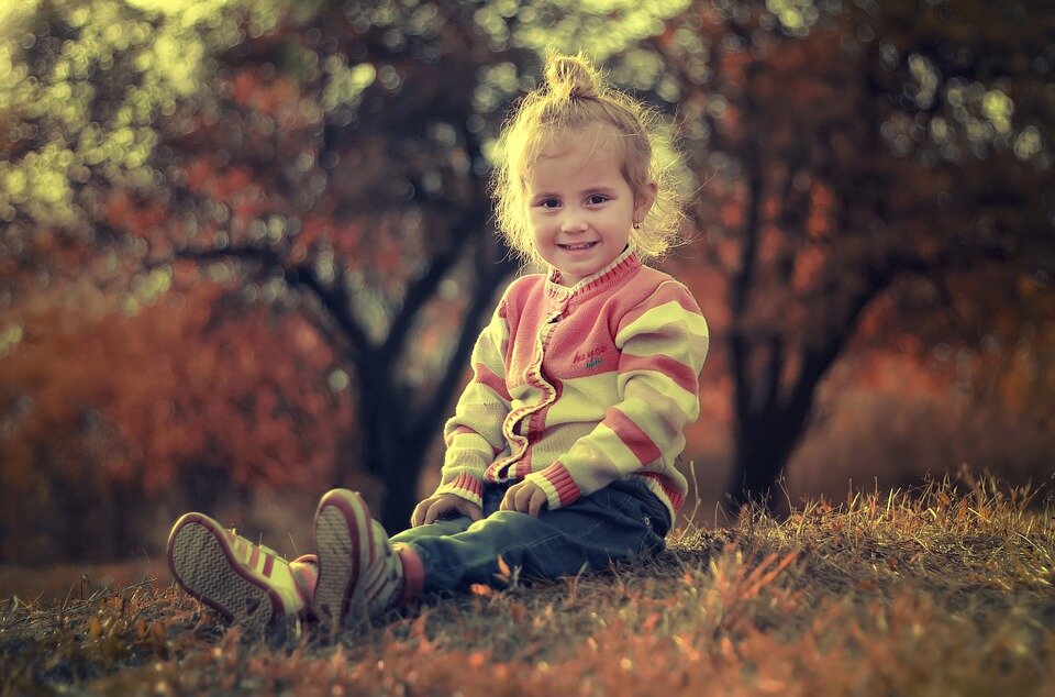 Фото:pixabay.com