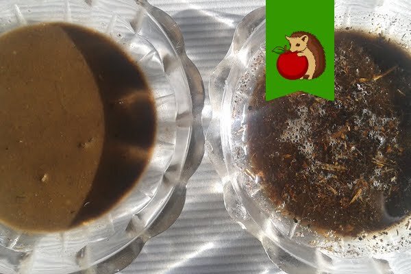 Фото: https://i.ytimg.com/vi/joyIrLKXAfo/maxresdefault.jpg