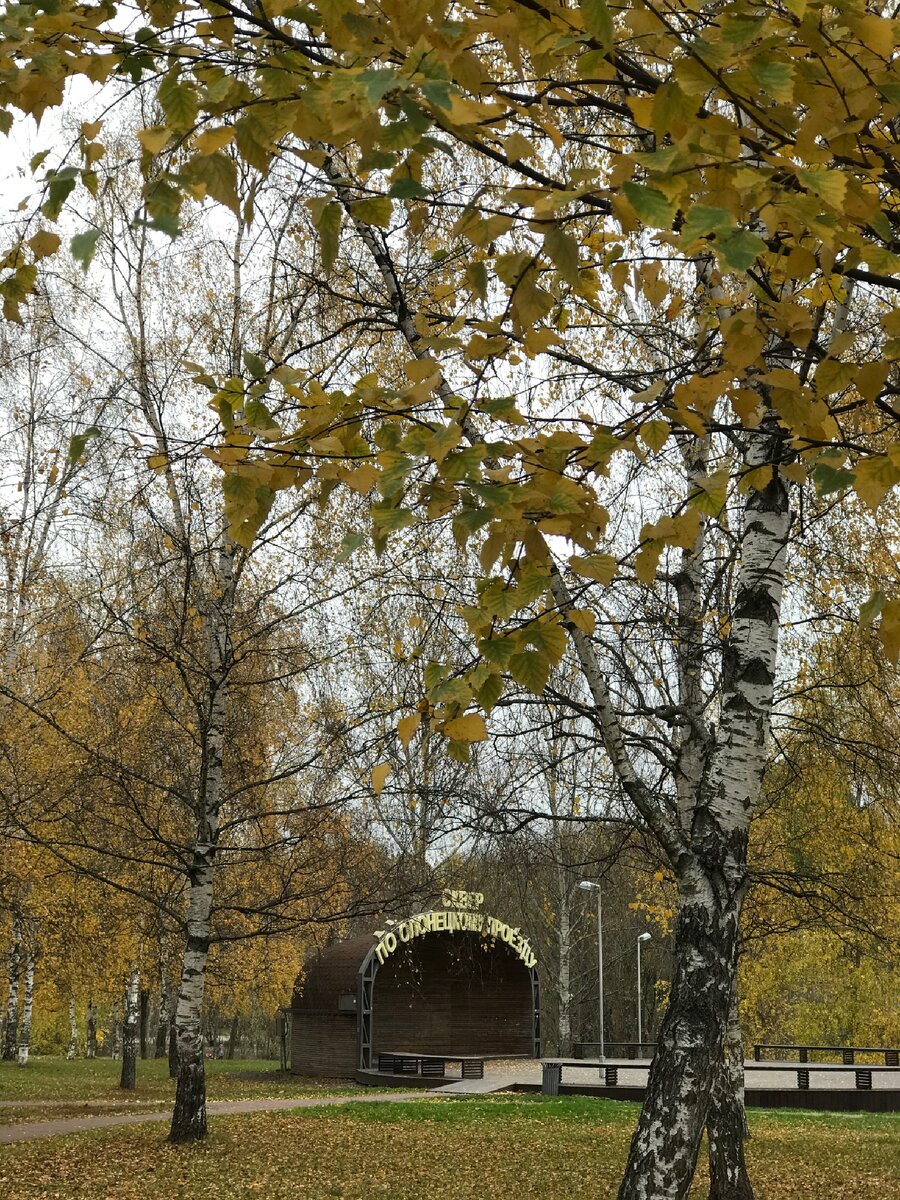 Foto by Kudinova A.