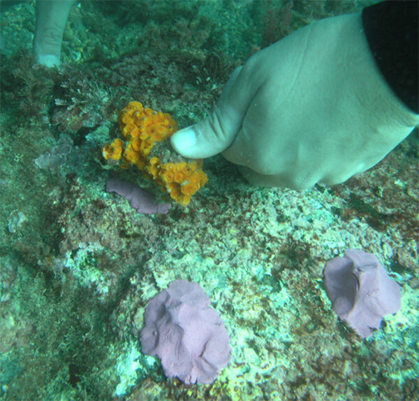 Закрепление образцов на новом месте.