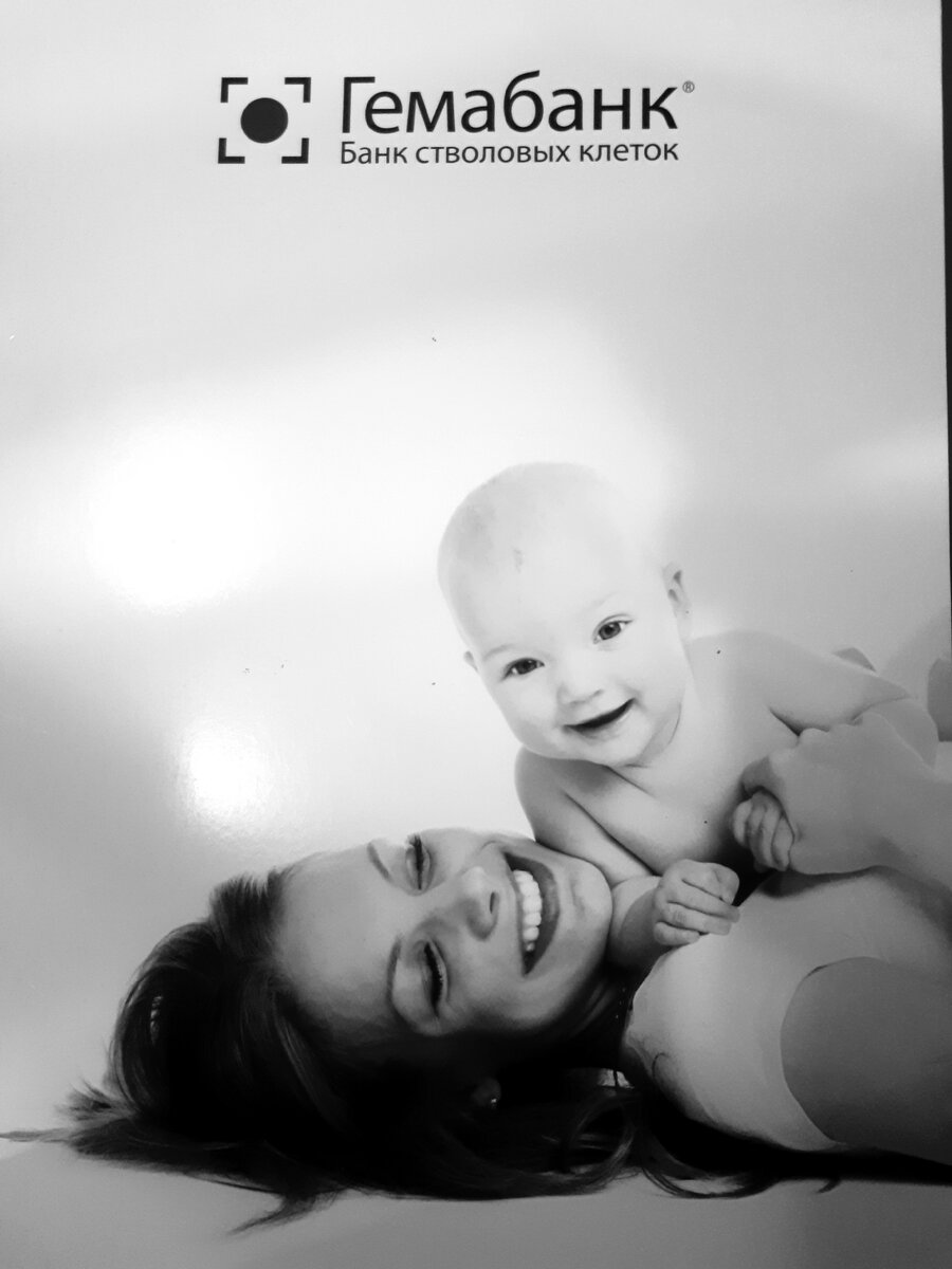 Договор в такой красивой папке привезли.