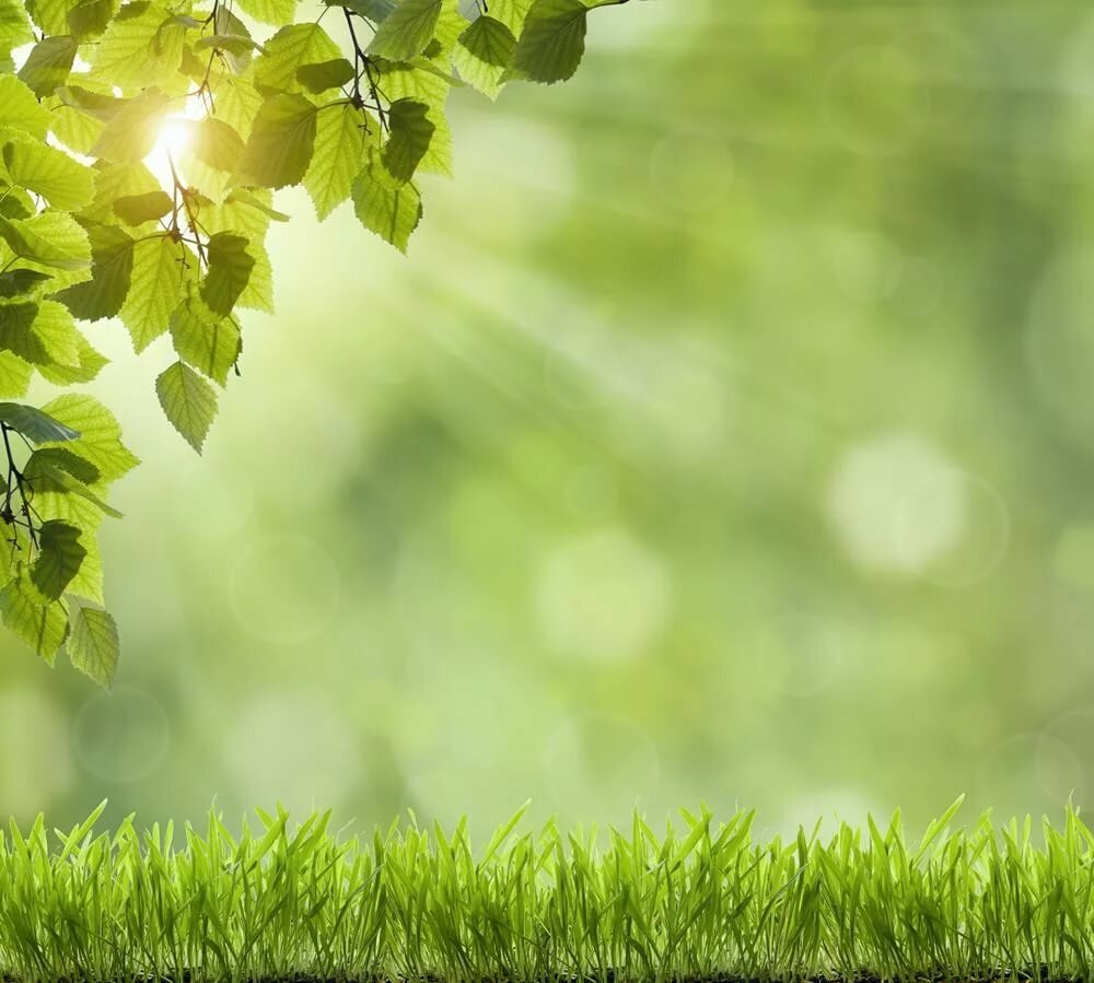 Картинка найдена на просторах интернета.