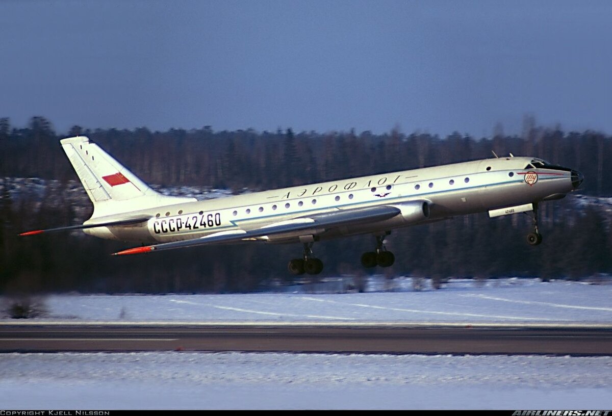 Фотография взята из открытого источника