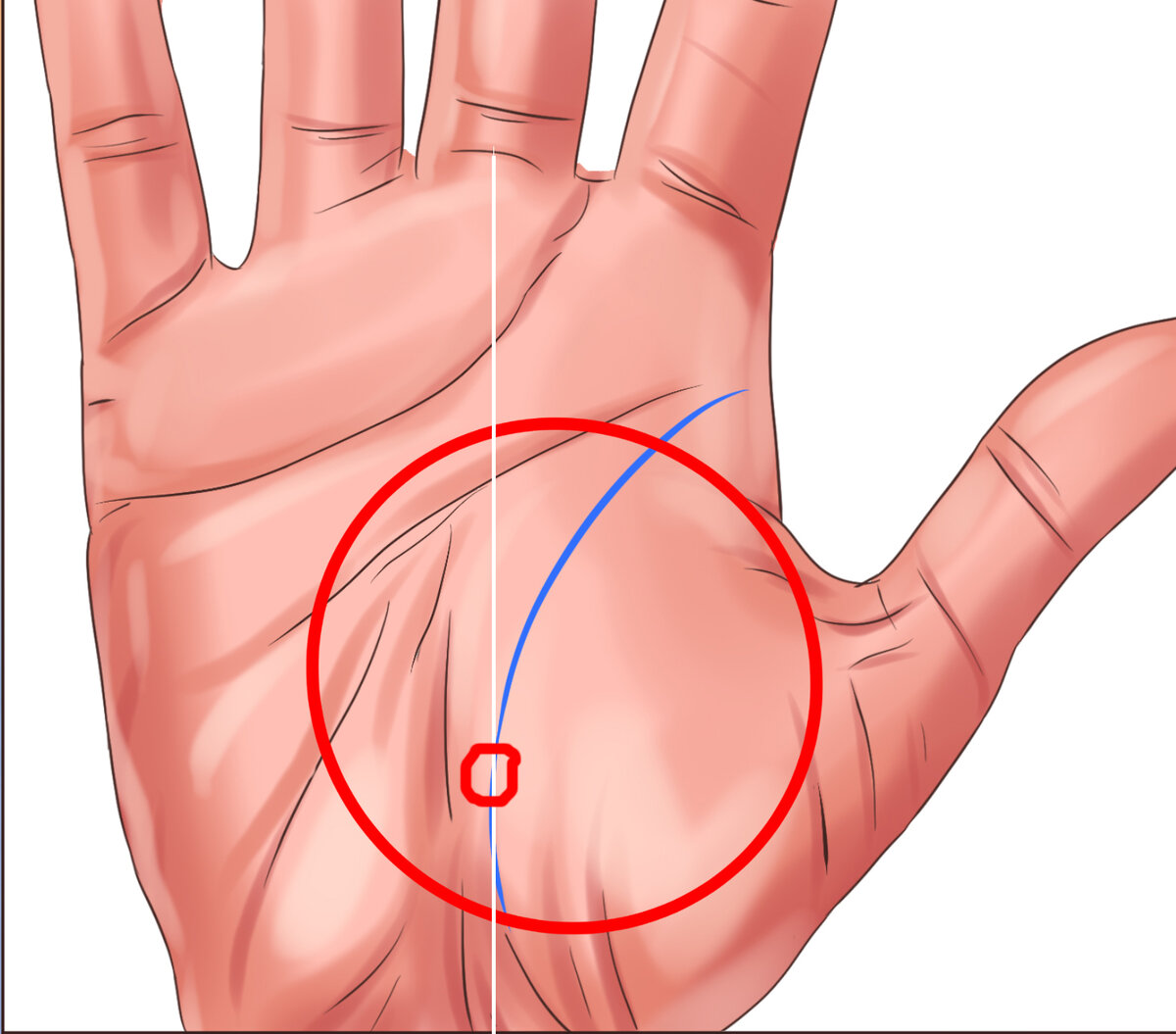 линия жизни на правой руке фото