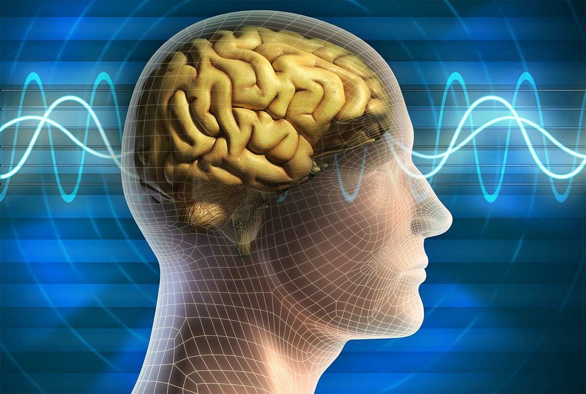 Источник: Яндекс Картинки
