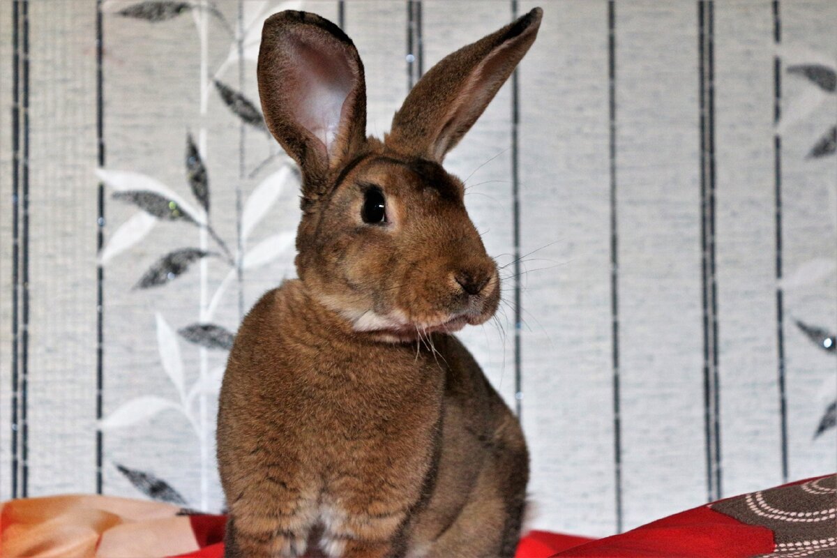 Из личного архива. Шуша. 