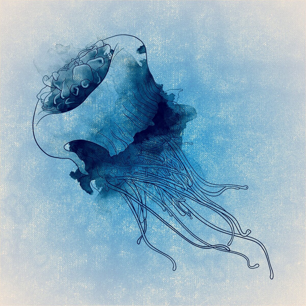 Источник: cdn.pixabay.com/photo/2015/10/08/09/05/jellyfish-977344_960_720.jpg
