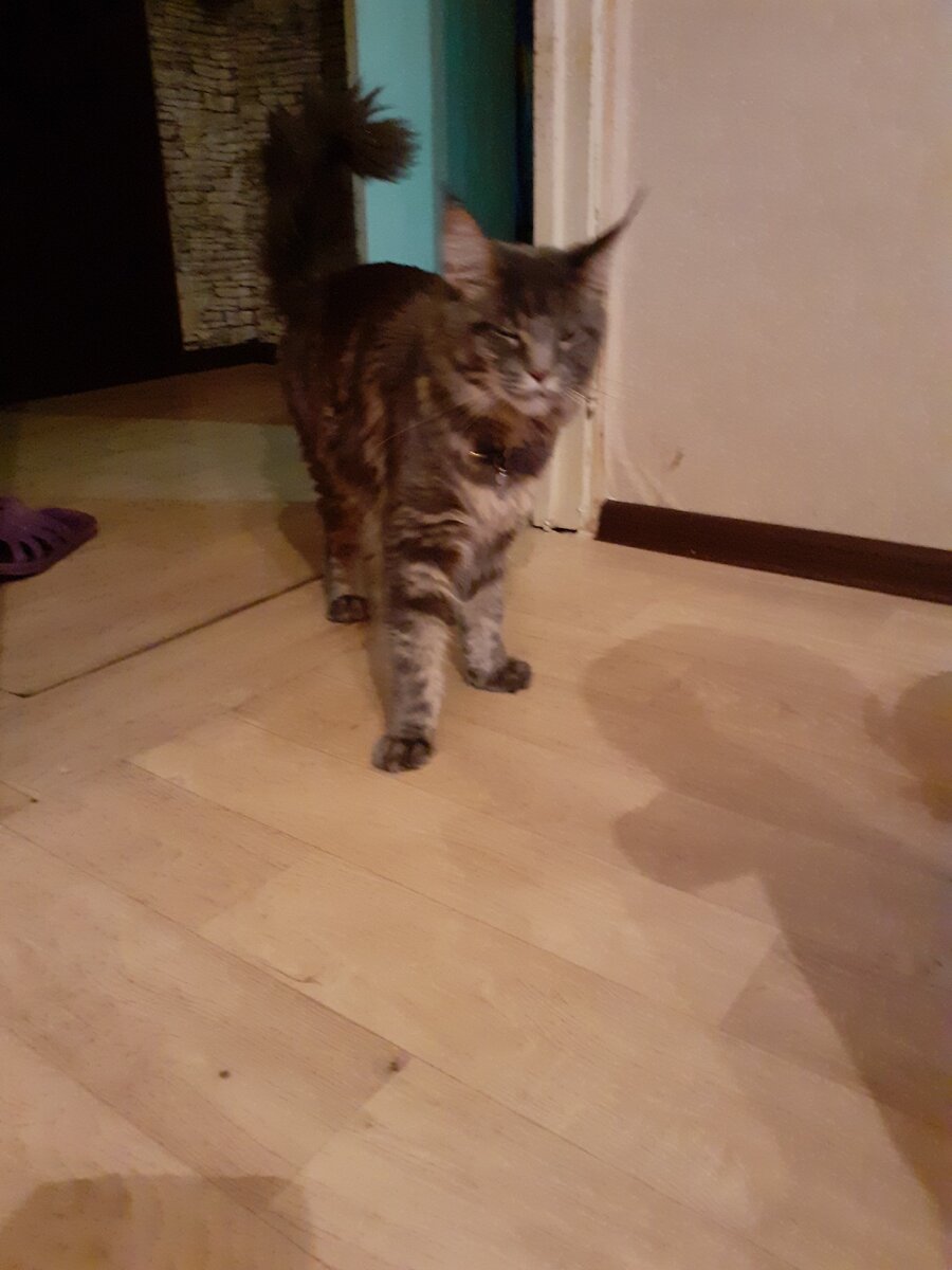 Калипсо 8 месяцев