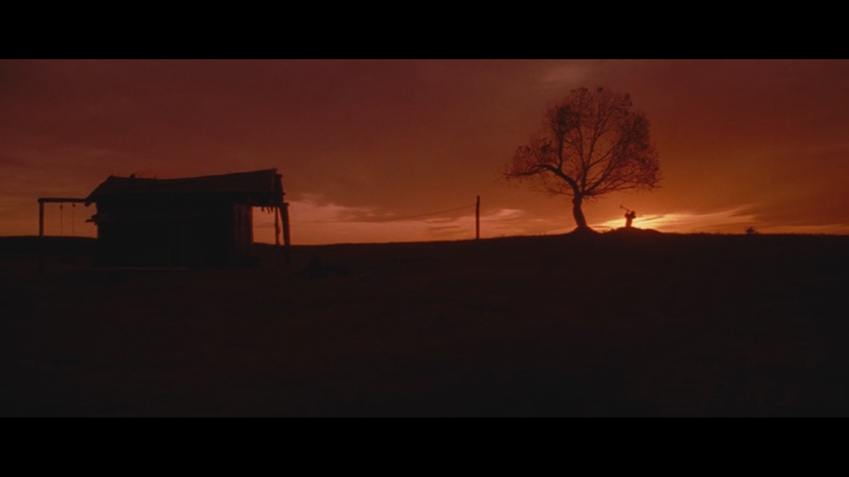 Человек рядом с деревом  хоронит свою жену.