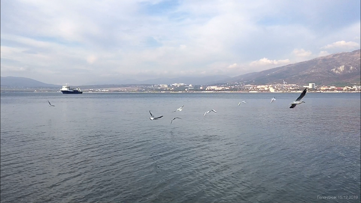 Листайте несколько фото в галерее