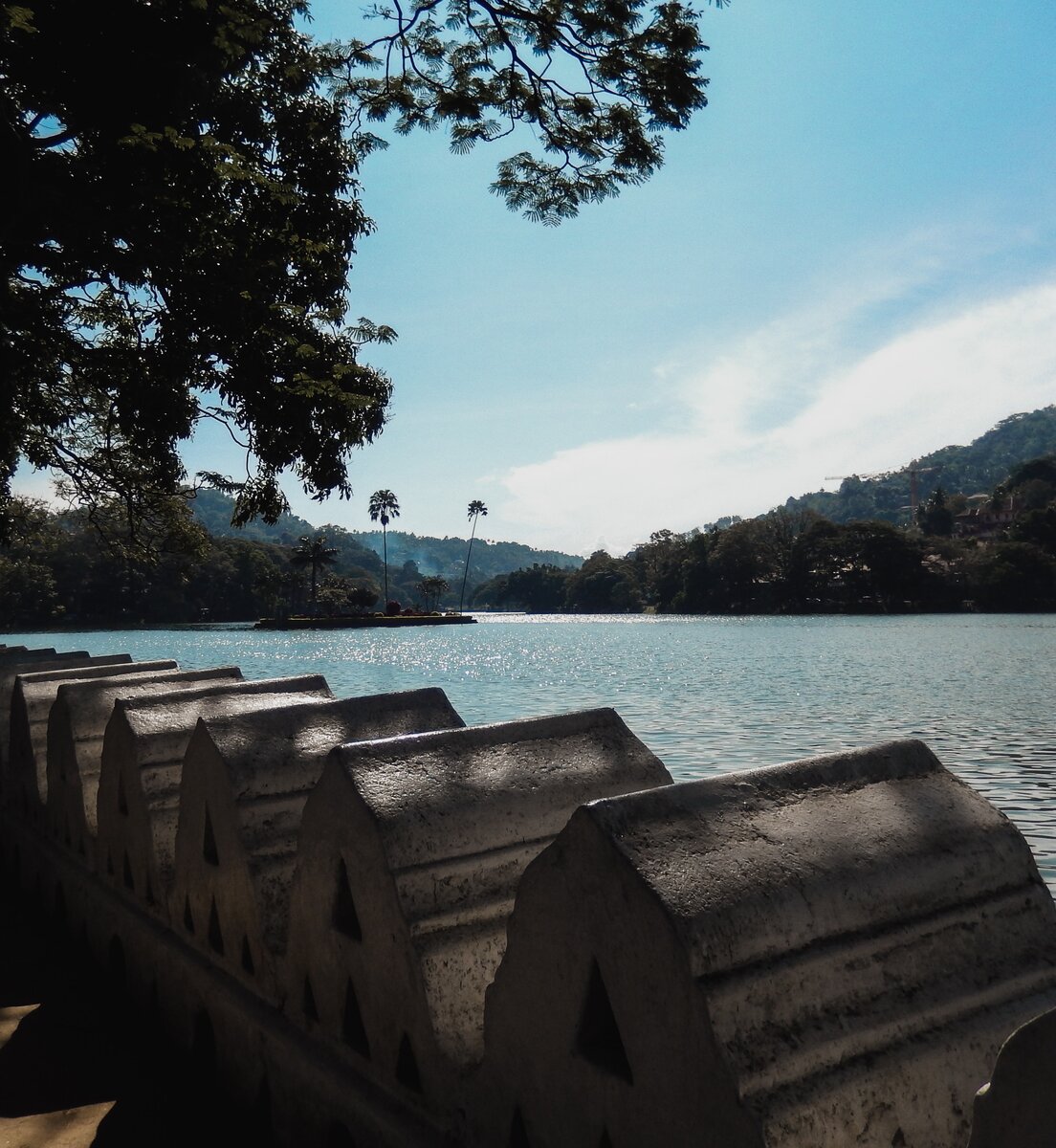 Вокруг чисто, а в воде плещется рыба