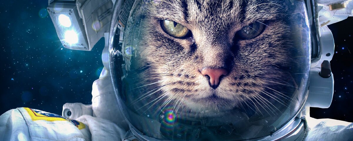 Фото взято из открытого источника для иллюстрации статьи