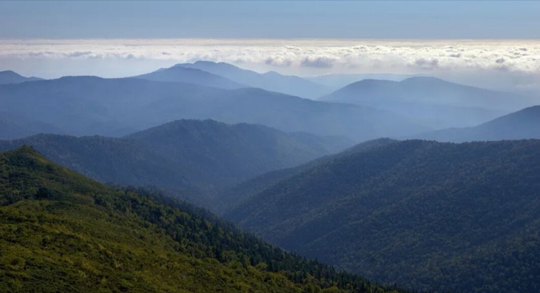 Взято из открытых  источников. 