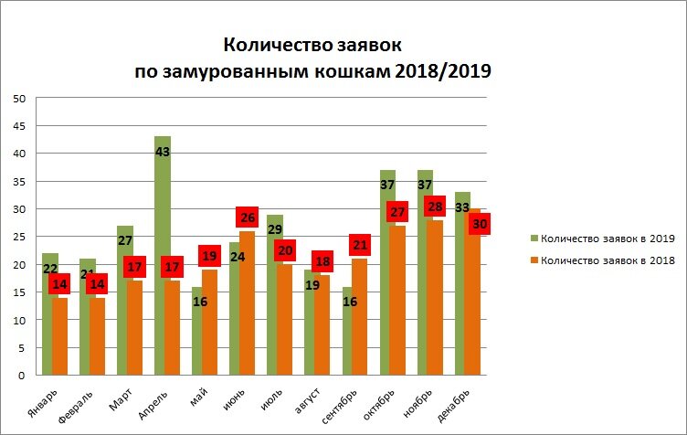 Количество заявок в 2018 и 2019 г.г.
