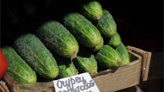 Фото из просторов интернета 