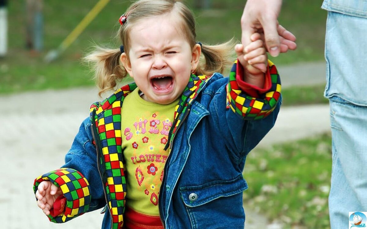 фото взято на сайте: yandex.by/images