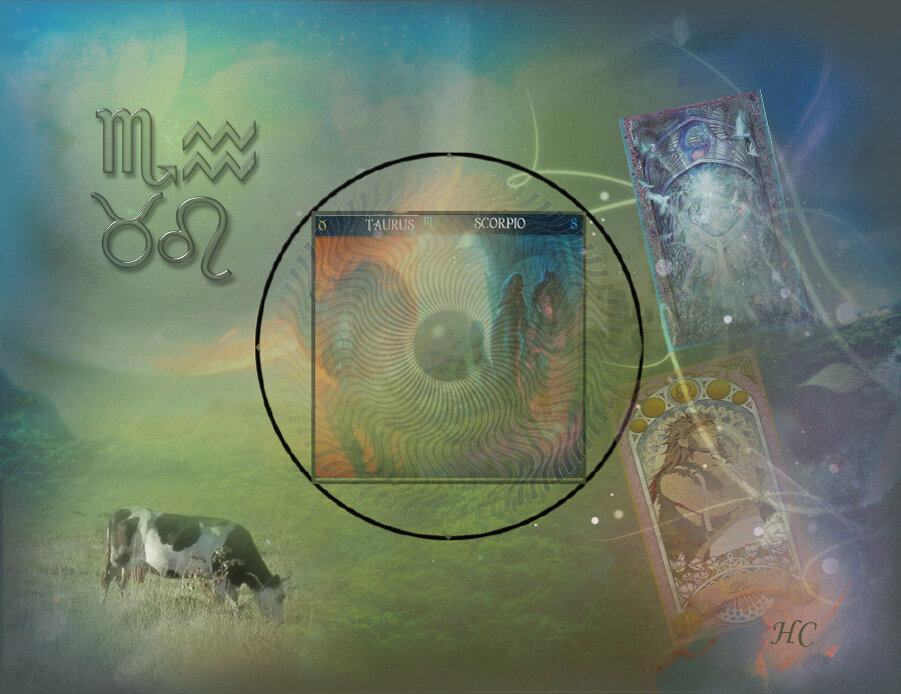 Коллаж Нины Стрелковой.