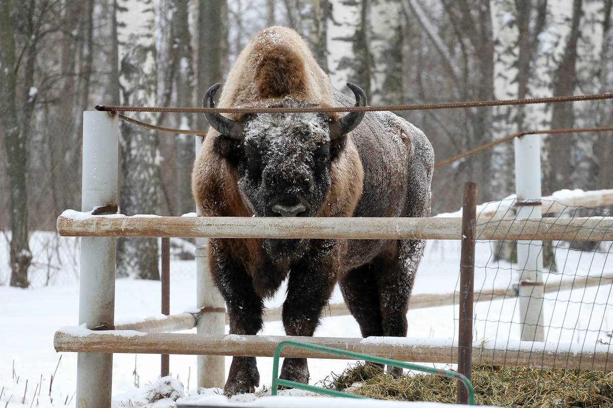 Фото предоставлено управлением по связям со СМИ администрации Нижнего Новгорода