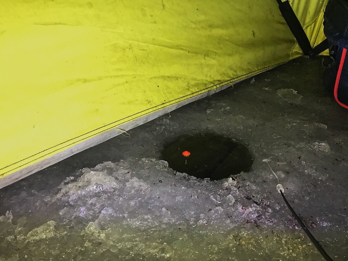 Личное фото.