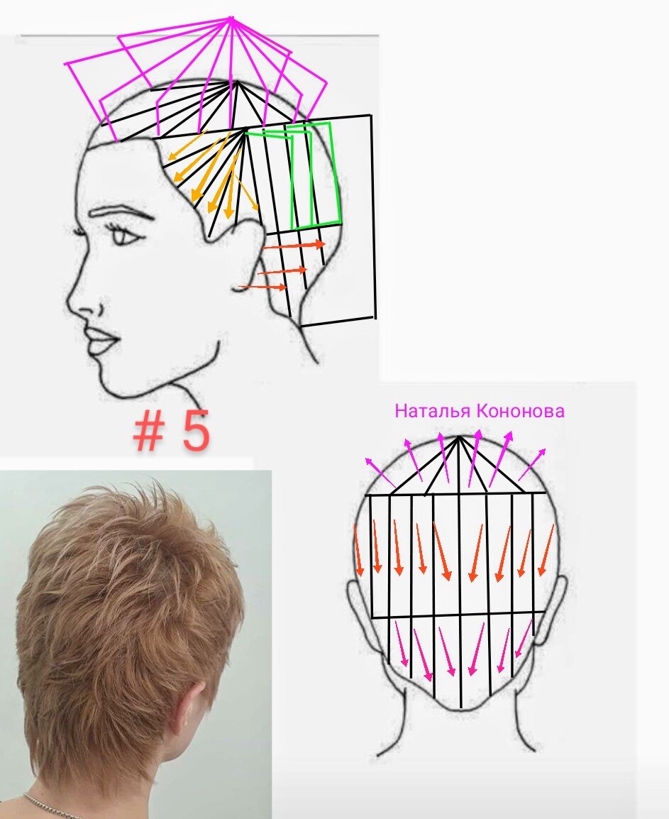 Техника стрижки. Технология стрижки Гарсон схема. Технология стрижки итальянка. Технология короткой женской стрижки. Схема стрижки на короткие волосы.
