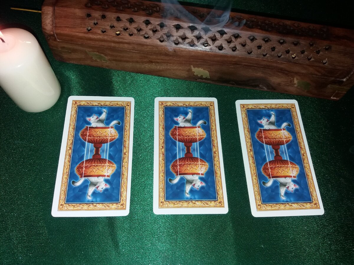 Позиции выложены слева направо по порядку 