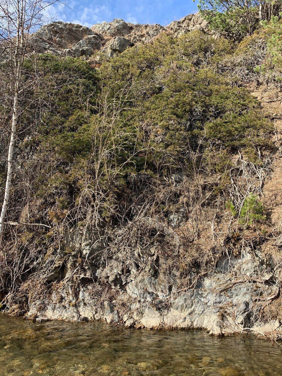 Теберда. 12.03.20