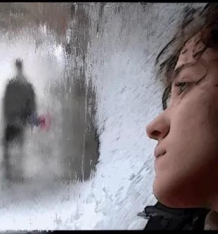 25 - 29 ноября 1995 г.