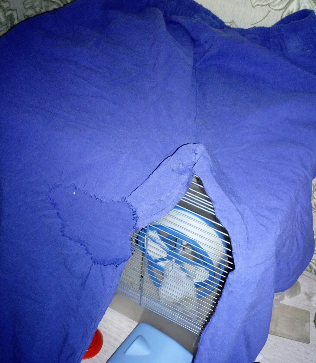 Подаренные штаны. Фото автора.