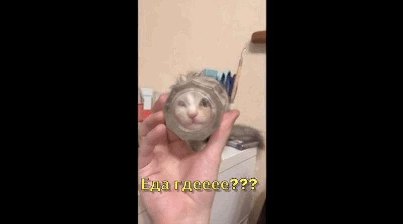 Верни мне мясоооо