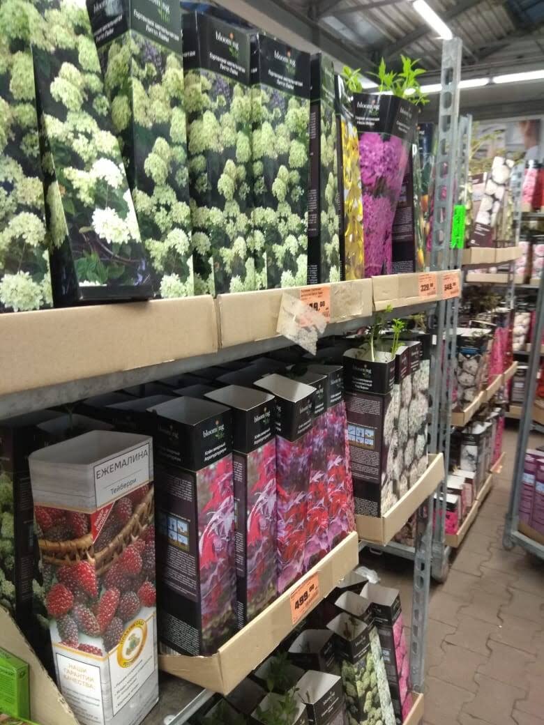 Красивые коробочки, масса сортов, глаза разбегаются.