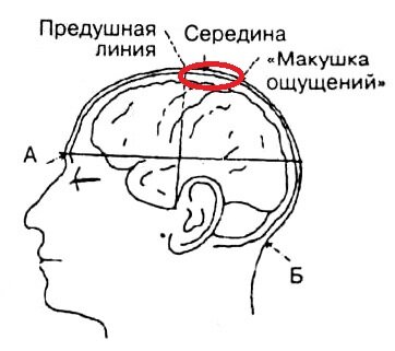 Боль в темени: о чем может сигнализировать и как от нее избавиться?