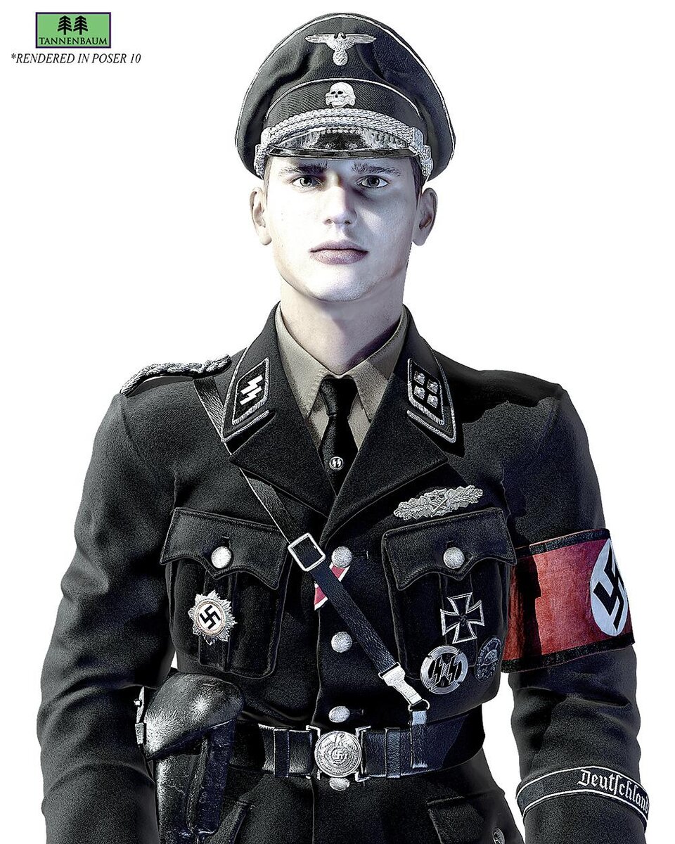 Форма нацистской германии