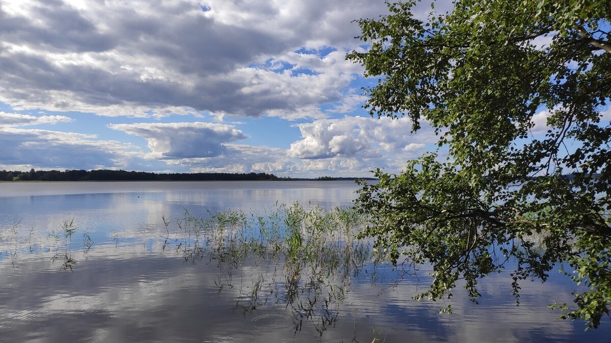 Озеро Отрадное. Фото мое.