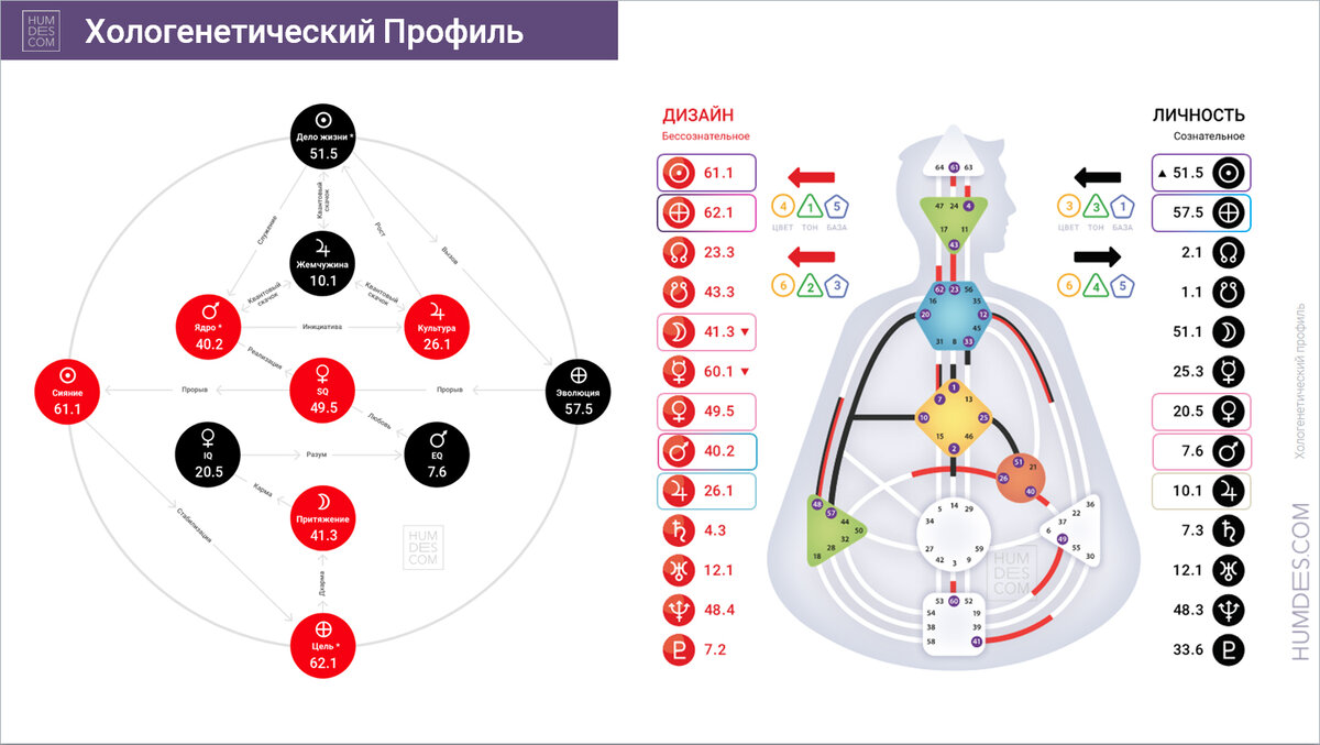 Линии дело жизни. Хологенетический профиль генные ключи. Хологенетический путь. Ходогегетический профиль. Холодгегетический профиль.