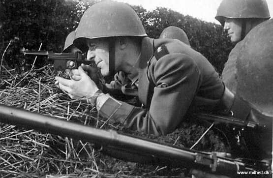 9-мм пистолет PISTOL m/1910-21, германской разработки, производился в Дании по лицензии. Состояла на вооружении датской армии с 1910 года.