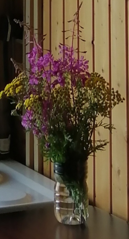 Полевые цветы