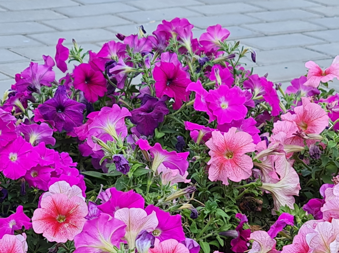 Фото взято из личного архива. 