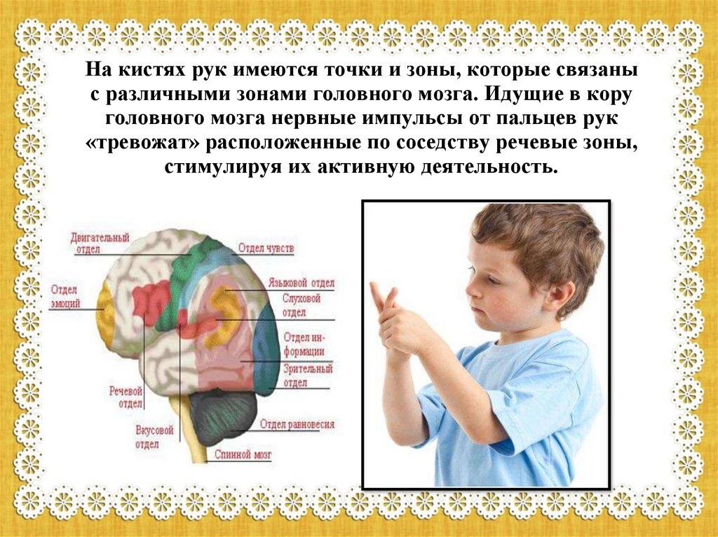 Яндекс Картинки