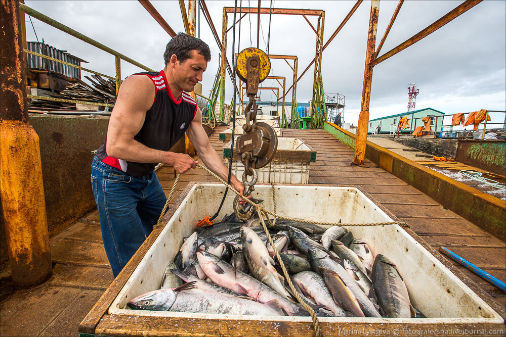 Фото: 3d-shka.livejournal.com