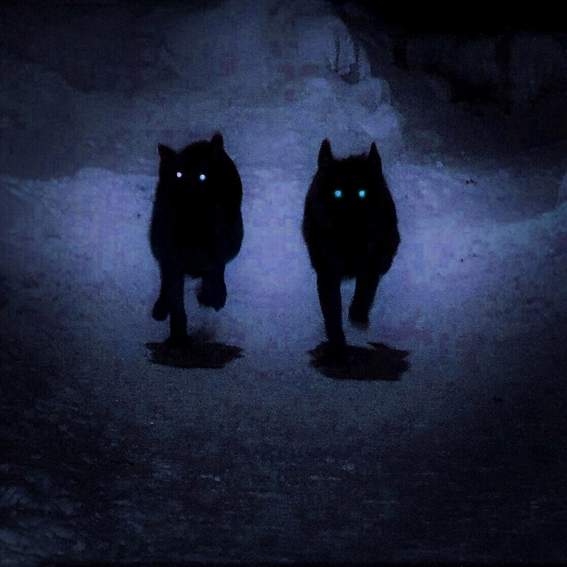 Есть 4 явных способа определить порчу