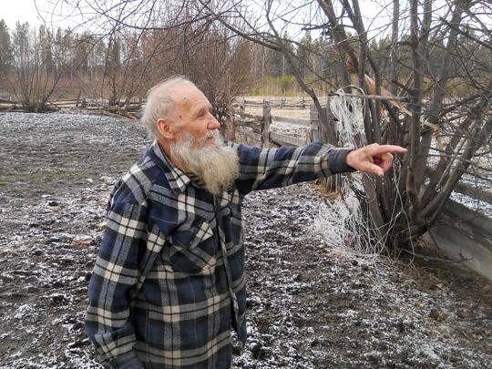 Анатолий Павлович Ромашов