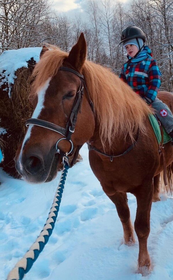 Хотел в конюшню, но на подходе устроил истерику с приседаниями на пол, поэтому такой Унылка